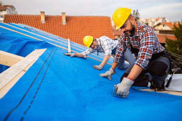 Best Storm Damage Roof Repair  in Temple, PA